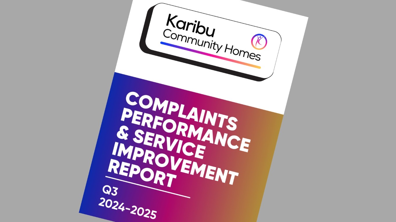 Complaints Performance and Service Improvement Report Q3 24/25