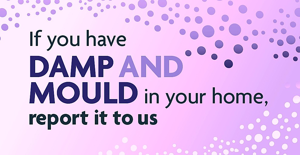 Report-damp-and-mould.jpg