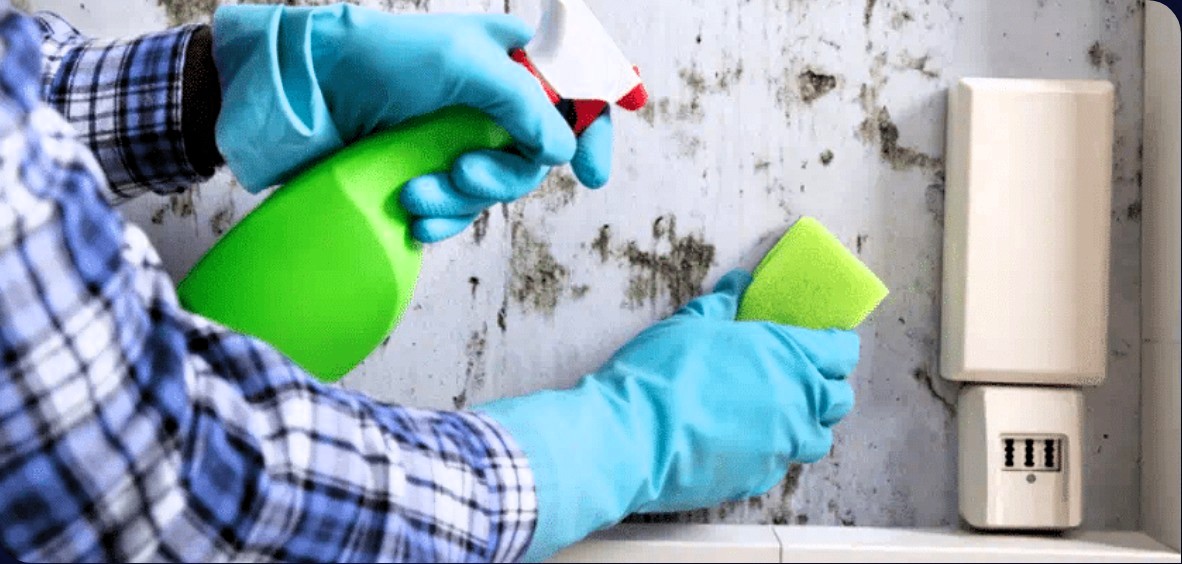 Damp & mould :: Karibu Community Homes