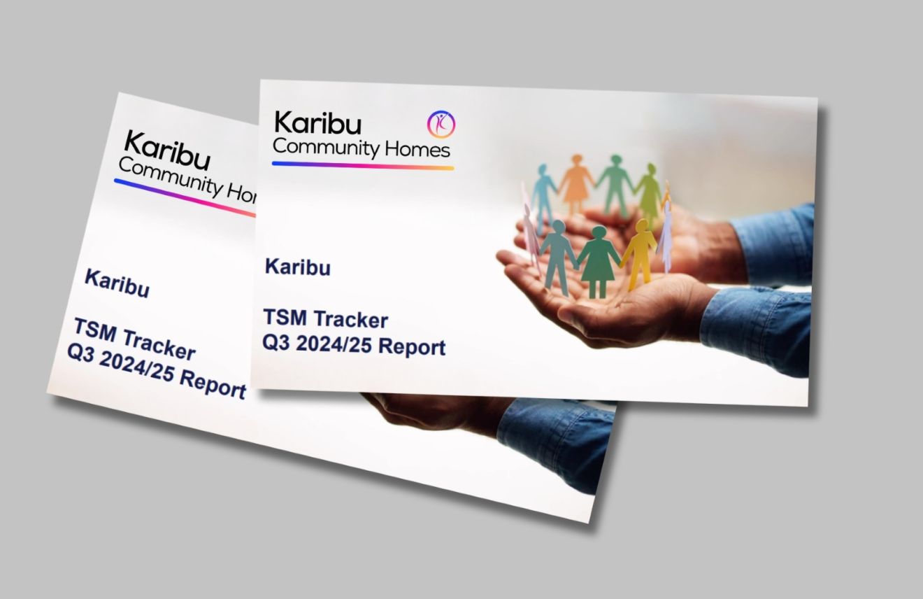 TSM Report Q3 2024/25