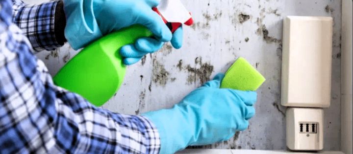 Karibu’s Commitment Under Awaab’s Law