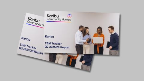 Tenant Satisfaction Measures report Q2 2024/25