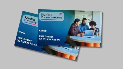 Tenant Satisfaction Measures report Q2 2024/25