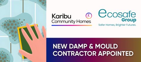 New Damp & Mould Contractor Appointed - Service Launches Monday 10th November 2025